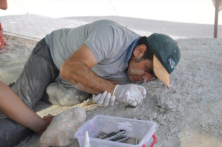 Yeniyaylacık'ta fosiller gün yüzüne çıkarılıyor G4