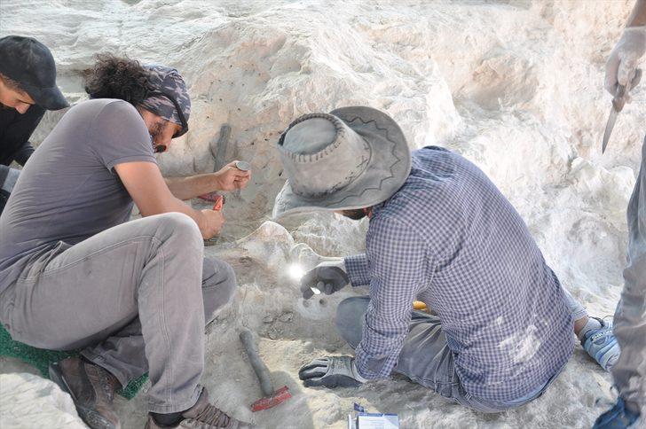 Yeniyaylacık'ta fosiller gün yüzüne çıkarılıyor G5