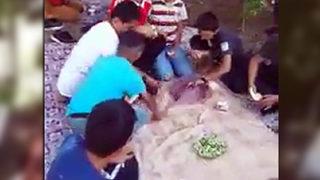 Muş'ta 4 çocuğun öldüğü piknikten görüntüler ortaya çıktı