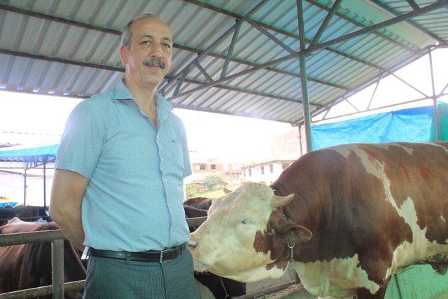 Ordu’nun en büyük kurbanı ’Çerkez’ oldu