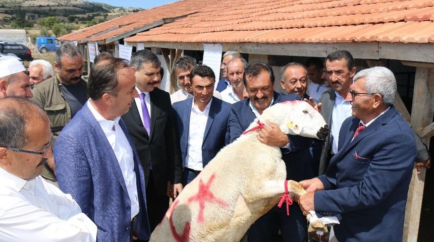 &Ccedil;orum Damızlık Ko&ccedil; Teke &Uuml;retim istasyonu a&ccedil;ıldı