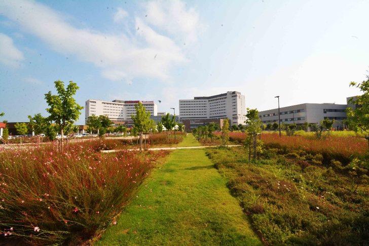 Yeşil dostu hastane G2