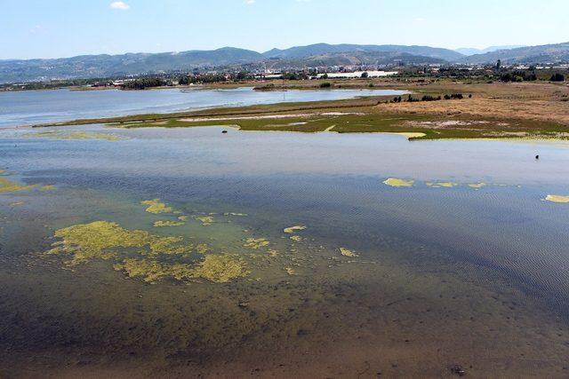 Türkiye’nin en büyük Millet Bahçesi Yalova’da kuruluyor