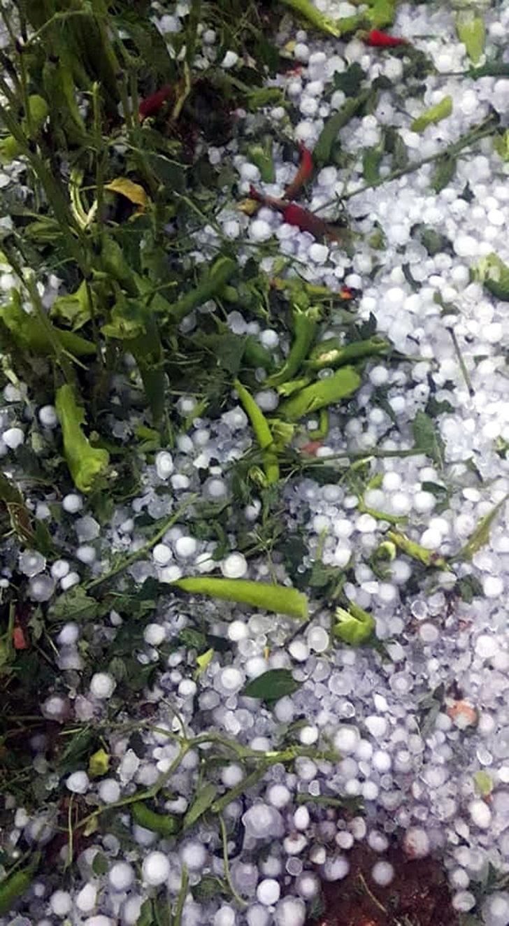 Korkuteli'de sağanak ve dolu, tarım alanlarını vurdu G3