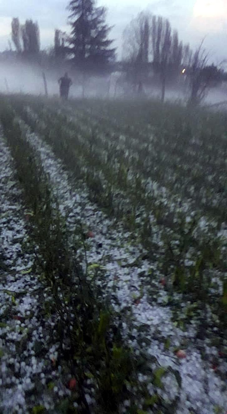 Korkuteli'de sağanak ve dolu, tarım alanlarını vurdu G5