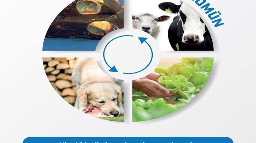 Kurban bayramı &ouml;ncesi &rsquo;Kist Hidatik&rsquo; hastalığı uyarısı