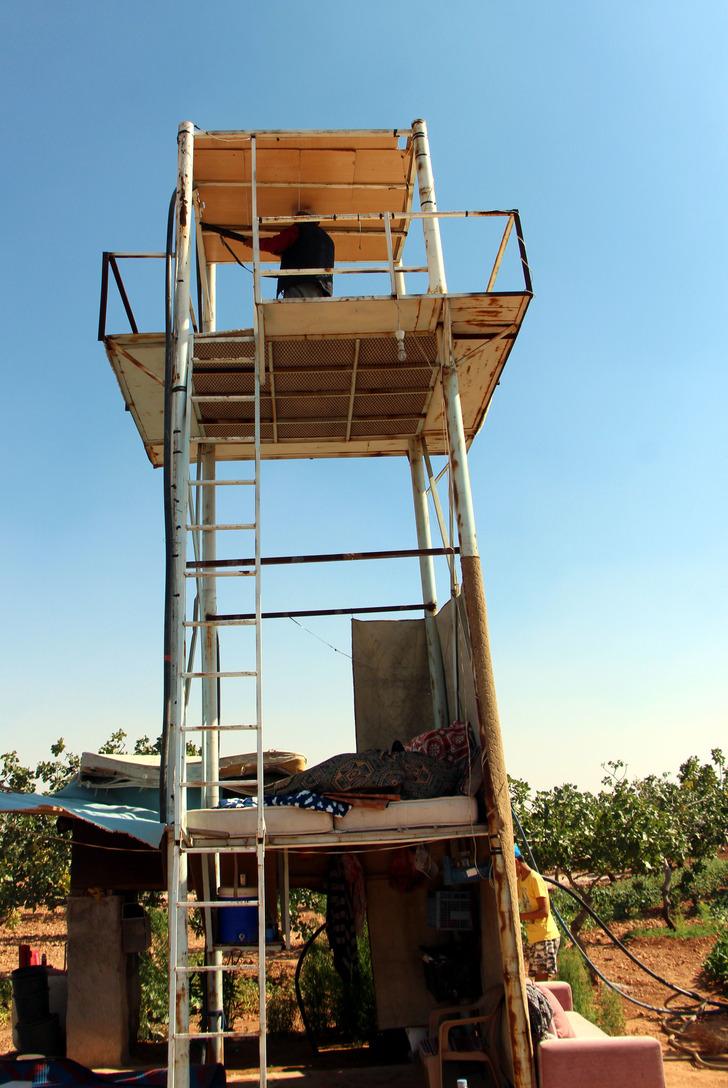 Antep fıstığı için gece gündüz silahlı nöbet tutuyorlar G2