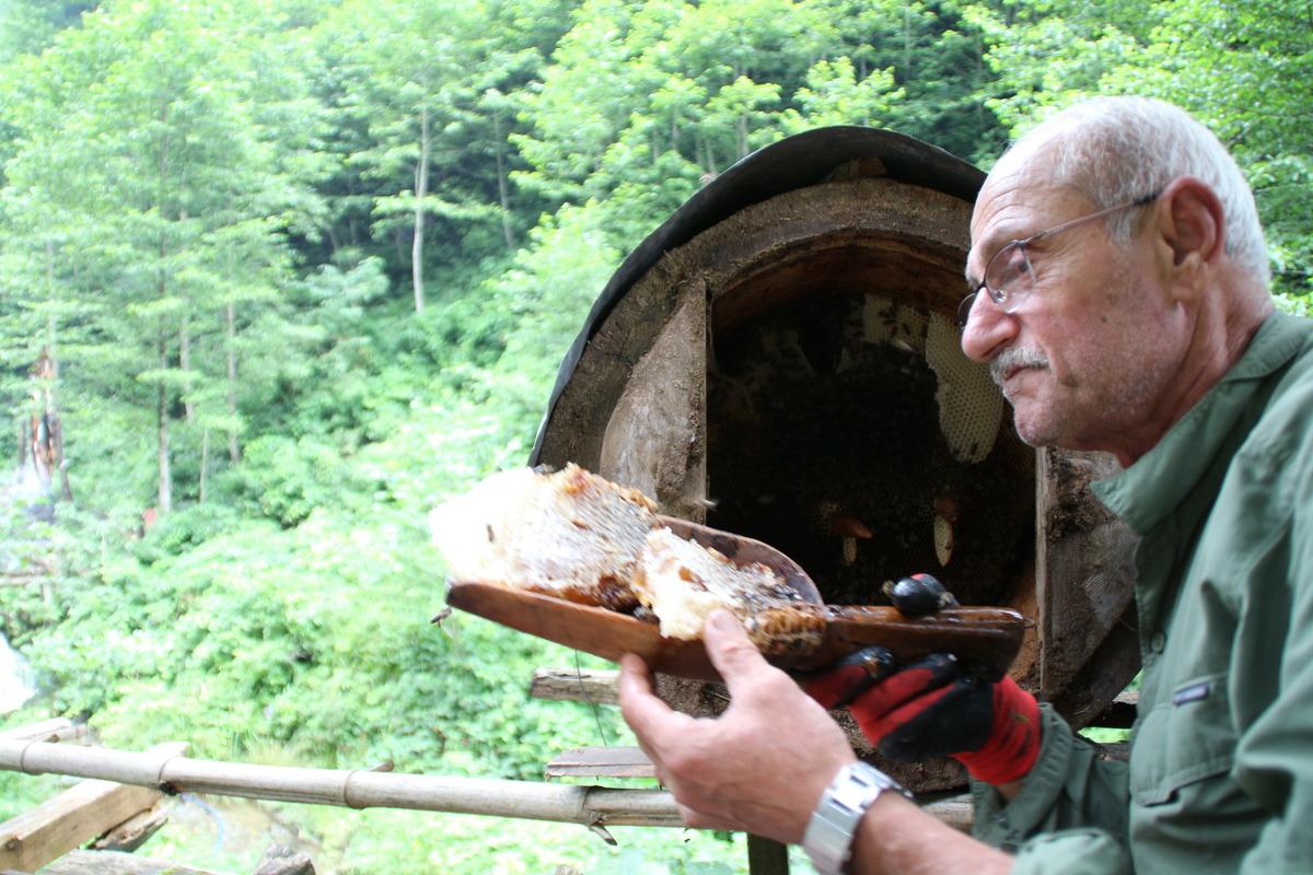 Kilosu 600 lira olan karakovan balı yok satıyor