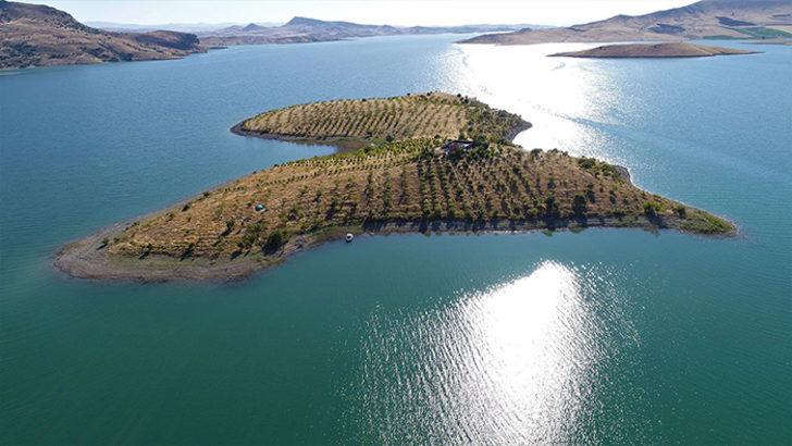 14 yıldır adada yalnız yaşayan Türk Robinson Crusoe!  G2