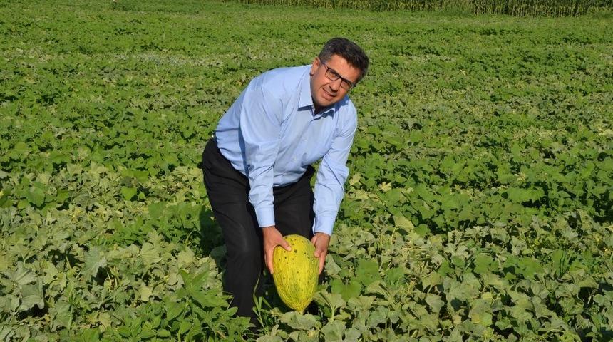 (&Ouml;zel) T&uuml;keticiye sahte Kırkağa&ccedil; kavunu uyarısı