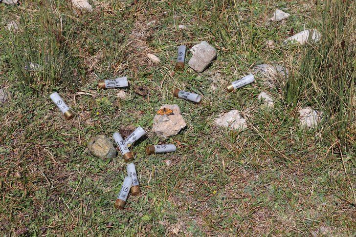 Dünyada sadece Denizli'de var! Tavas kurbağası için seferberlik ilan edildi G4