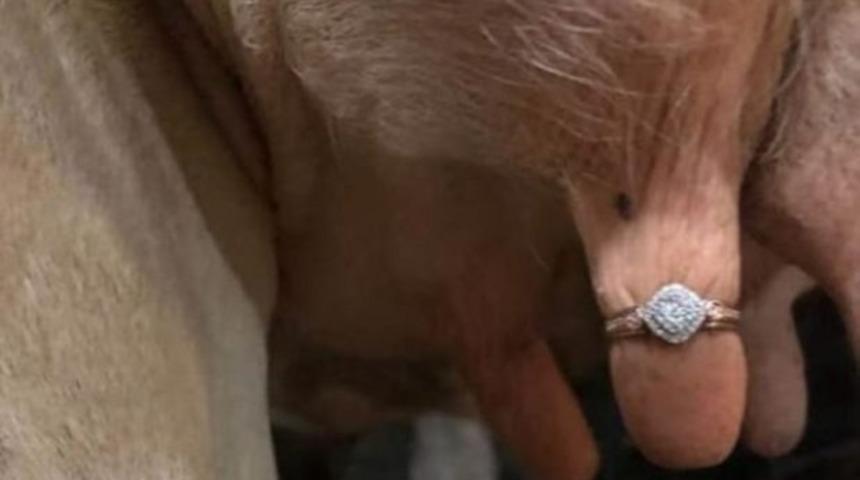 Daha &ouml;nce g&ouml;rd&uuml;klerinizi unutun! Evlenme teklifini inek memesinde yaptı olay oldu