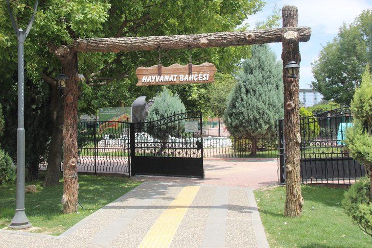 Hayvanat bahçesi sakinlerine fıskiyeli serinlik G3