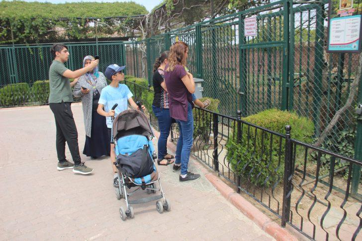 Hayvanat bahçesi sakinlerine fıskiyeli serinlik G5