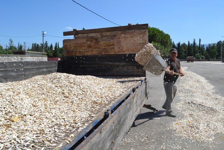 Trafiğe kapalı çekirdek yolunu görenler şaşkına dönüyor  G1