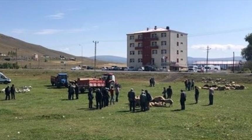 Rağbet k&uuml;&ccedil;&uuml;kbaş hayvana