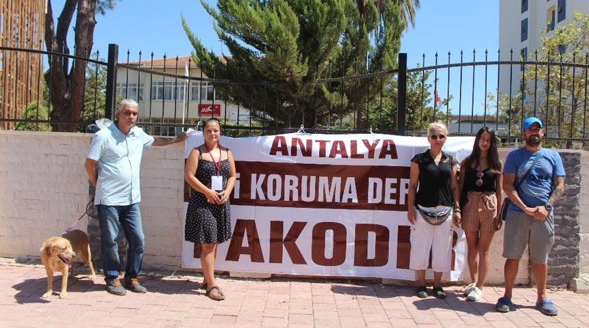 Antalya&rsquo;da hayvanseverlerden mezarlık talebi