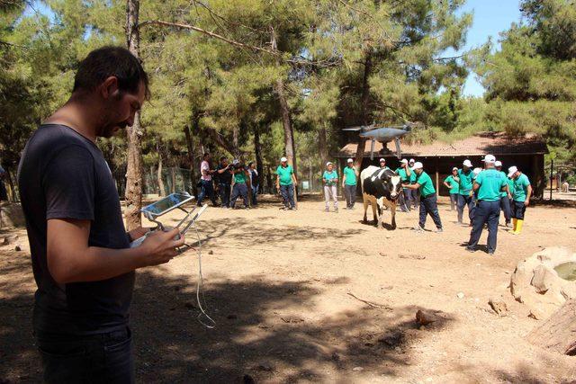 Gaziantep'te kurban yakalama timi drone da kullanacak