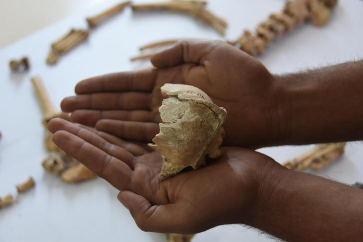 5 bin yıl önce kuraklıkta köpek eti yemişler G2