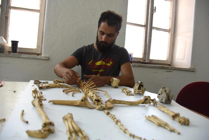 5 bin yıl önce kuraklıkta köpek eti yemişler G1