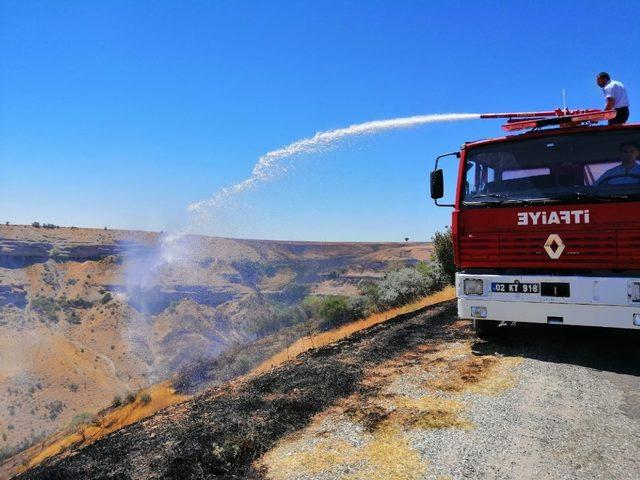 Üzüm ve badem bahçeleri küle döndü