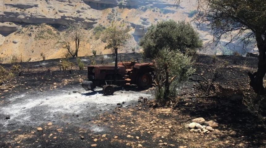 Üzüm ve badem bahçeleri küle döndü