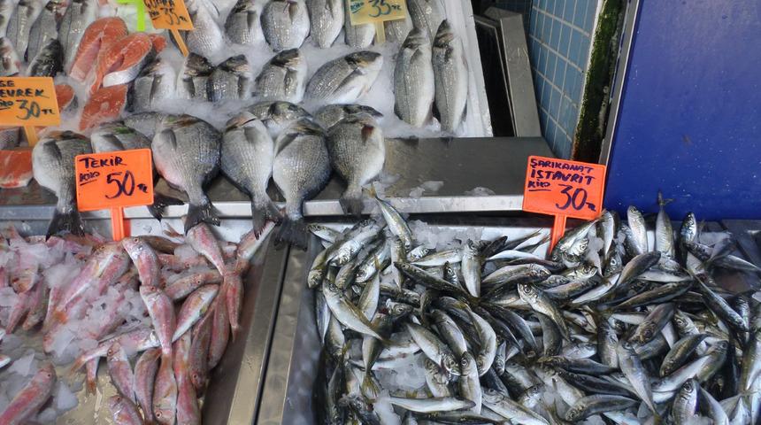  Mudanya’da balık fiyatları cep yakıyor 