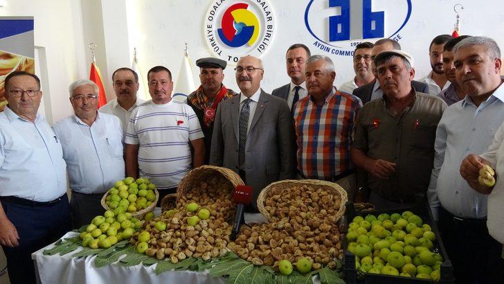 Aydın'da sezonun ilk kuru inciri kilosu 100 TL'den satıldı Son Dakika
