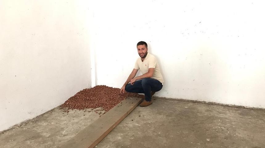 Yılın ilk fındığı tüccara indi