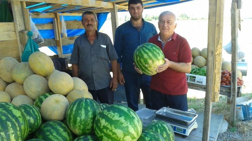 Sinop’un yerli karpuzları çıktı