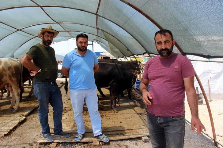 Oymaağaç Kurban Pazarı’nda kurbanlıklar müşterilerini bekliyor G5