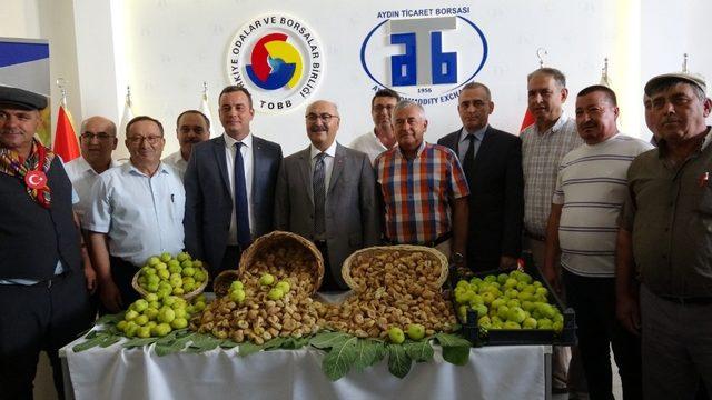 Aydın’da sezonun ilk kuru inciri borsaya teslim edildi