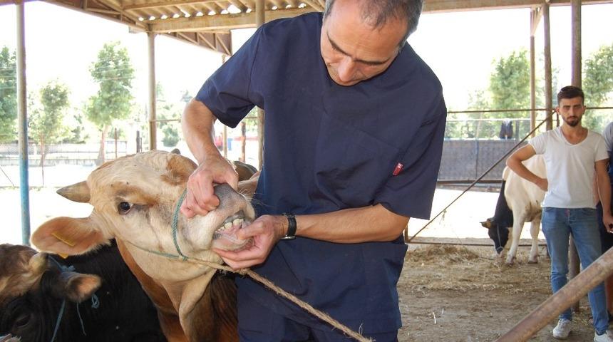 Hendek&rsquo;te kesimhaneler denetlendi