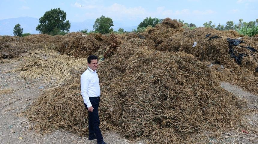 K&ouml;leoğlu: &ldquo;İl&ccedil;e halkımızın zehir solumasını &ouml;nledik&rdquo;