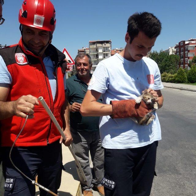 Burhaniye’de köprü ayağında mahsur kalan kediyi itfaiye kurtardı