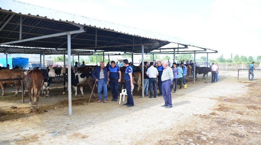 Tokat&rsquo;ta kurban bayramı hazırlıkları