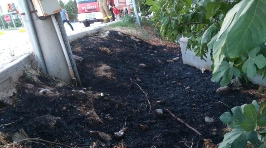 Burhaniye&rsquo;de trafo yangını korkuttu