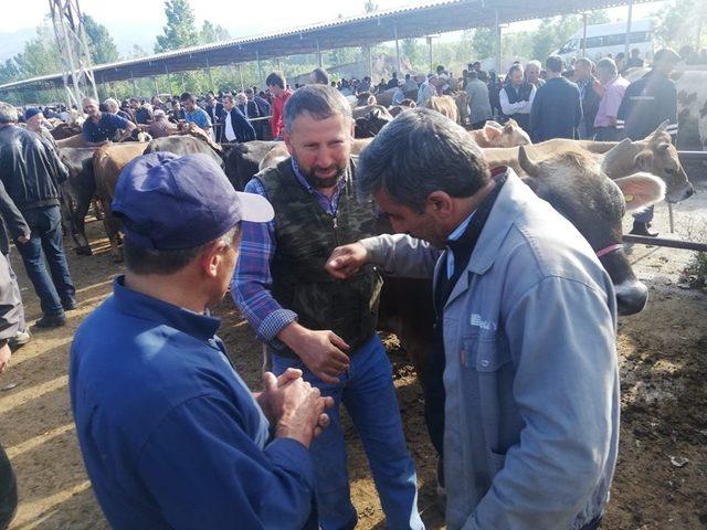 Tokat’ta kurbanlık satıcılarına sahte para uyarısı