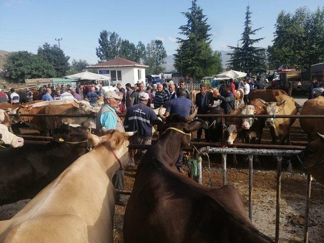 Tokat’ta kurbanlık satıcılarına sahte para uyarısı