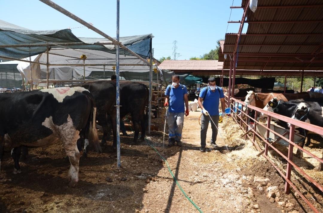 B&uuml;y&uuml;kşehir, kurban satış noktalarını denetledi
