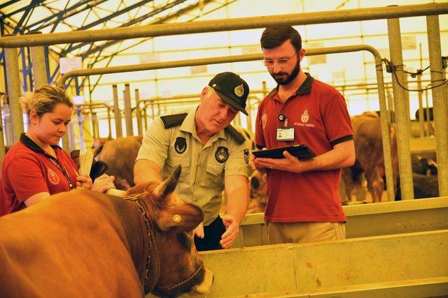 İBB, kurban satış ve kesim yerlerini denetliyor