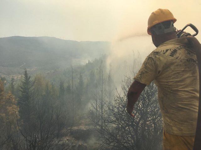Bodrum'da ormanlık alanda yangın (2)