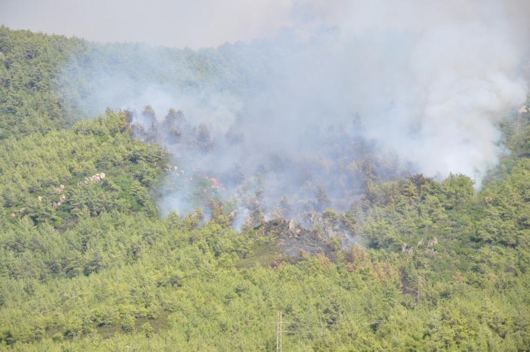 Milas Tuzabat&rsquo;ta sabah kontrol altına alınan yangın tekrar tekrar başladı