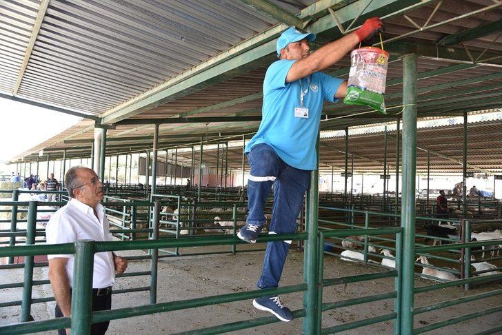 Canlı Hayvan Borsası ilaçlandı G1