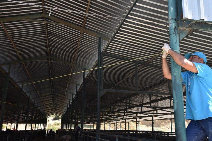 Canlı Hayvan Borsası ilaçlandı G3