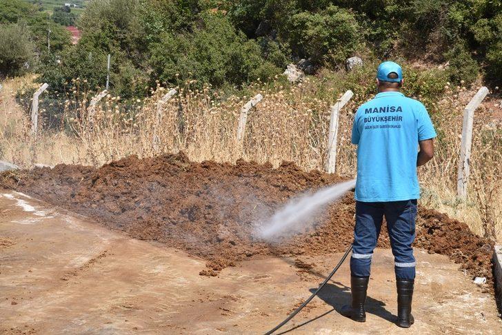 Canlı Hayvan Borsası ilaçlandı G4
