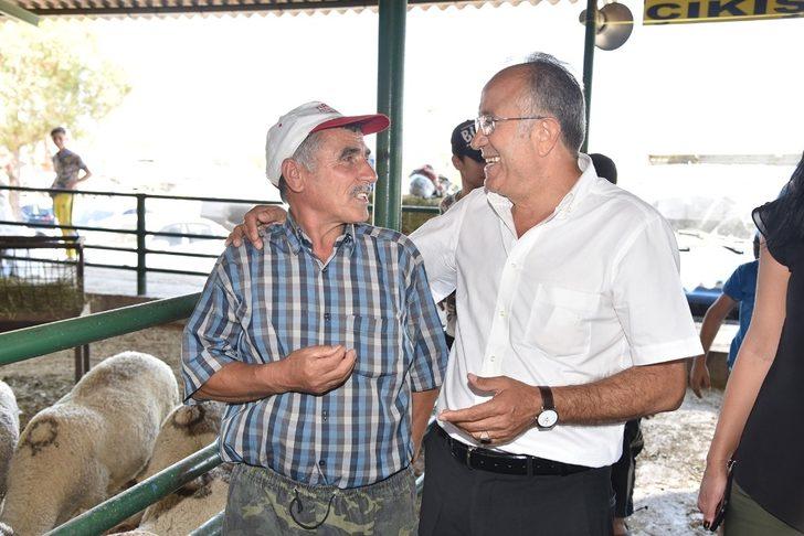 Canlı Hayvan Borsası ilaçlandı G5