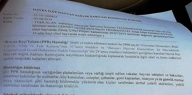 “Genç Çiftçi Projesi” kapsamında dağıtılan küçükbaş hayvanlar vebalı çıktı