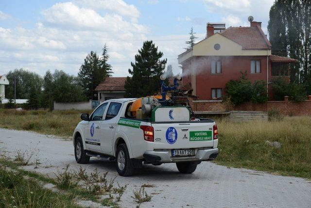 Çorum’da bayram öncesi vektörel mücadele seferberliği