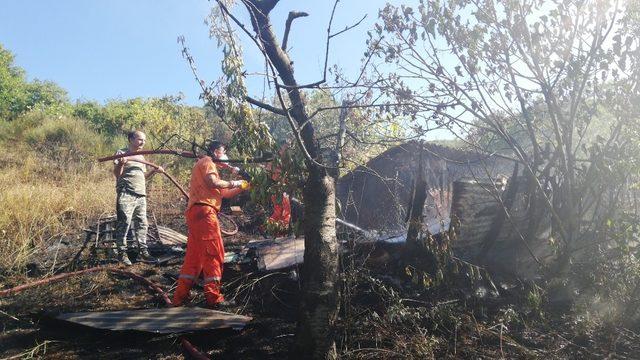 Yabani otları yakmak isterken 5 dönüm alanı küle döndürdü